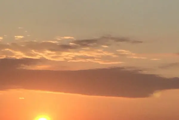 伊勢湾岸自動車道の写真・動画_image_170159