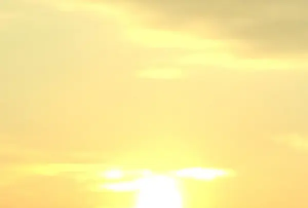 桑名市の写真・動画_image_170161