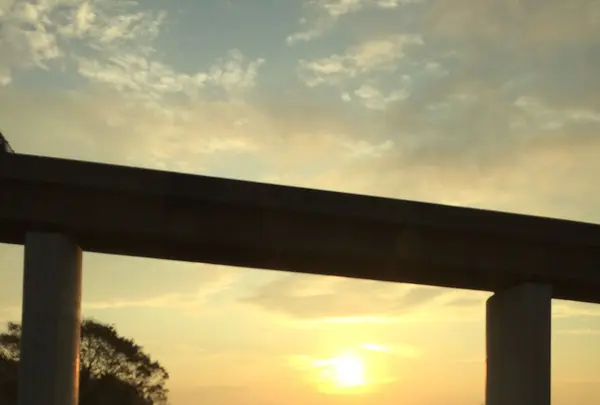 桑名市の写真・動画_image_170162