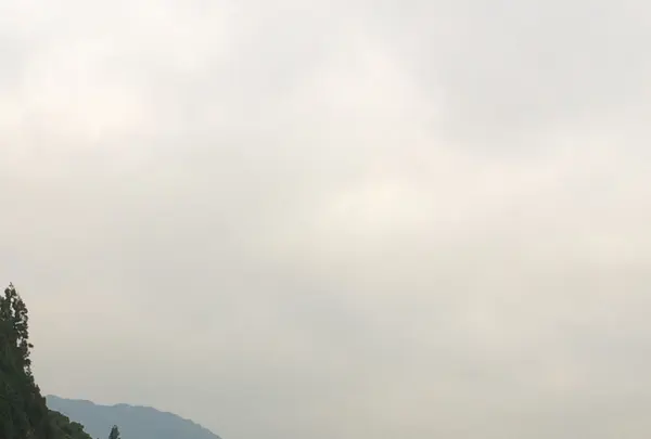 名阪国道 神野口 ICの写真・動画_image_170164