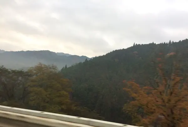 名阪国道 板屋 ICの写真・動画_image_170165
