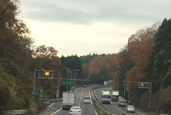 伊賀一之宮 敢国神社の写真・動画_image_170177