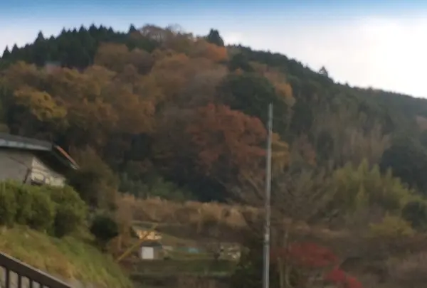 室生寺の写真・動画_image_170181