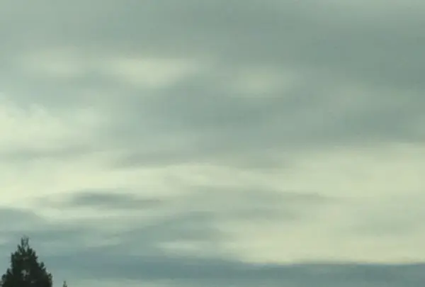 室生寺の写真・動画_image_170182