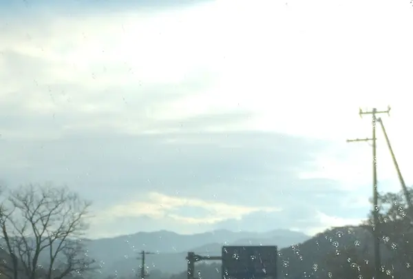 室生寺の写真・動画_image_170183