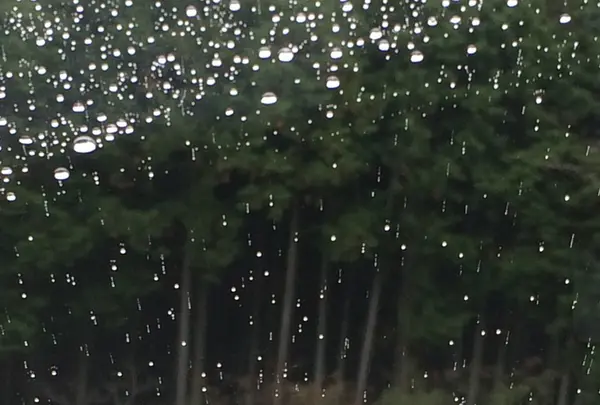 室生寺の写真・動画_image_170187