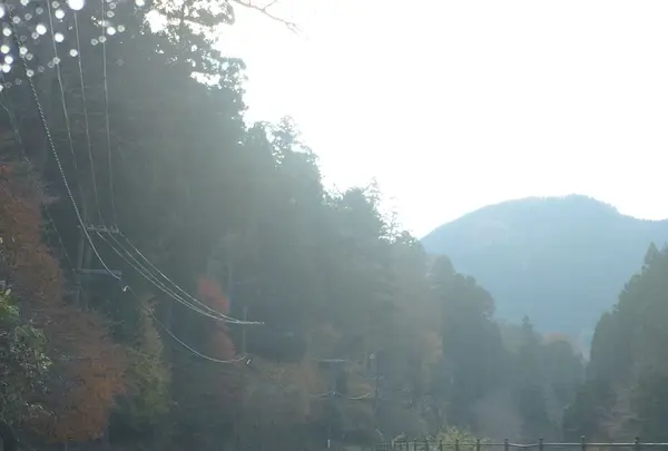 室生寺の写真・動画_image_170192