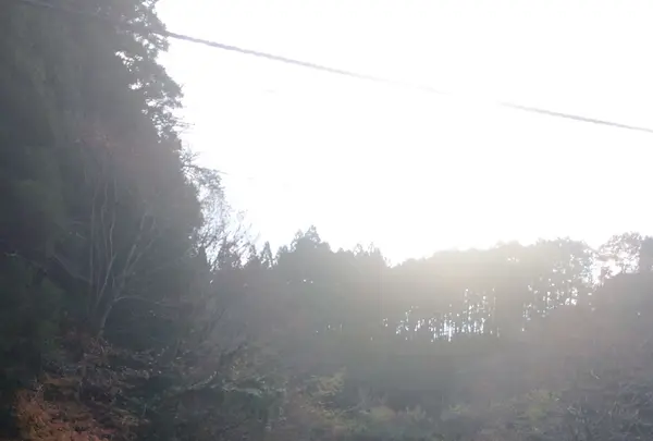 室生寺の写真・動画_image_170194