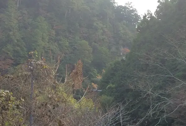 室生寺の写真・動画_image_170195