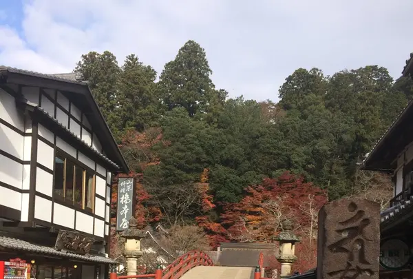 室生寺の写真・動画_image_170198