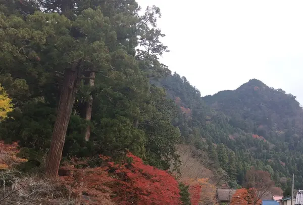 室生寺の写真・動画_image_170201