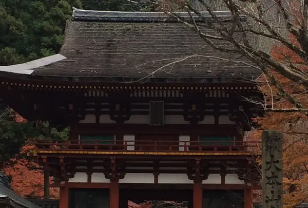 室生寺の写真・動画_image_170210