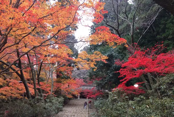室生寺の写真・動画_image_170225