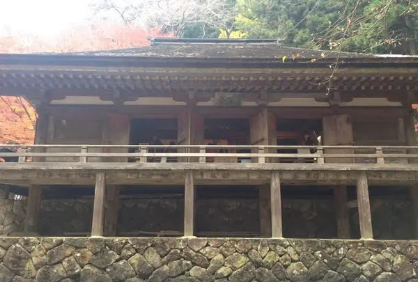 室生寺の写真・動画_image_170229