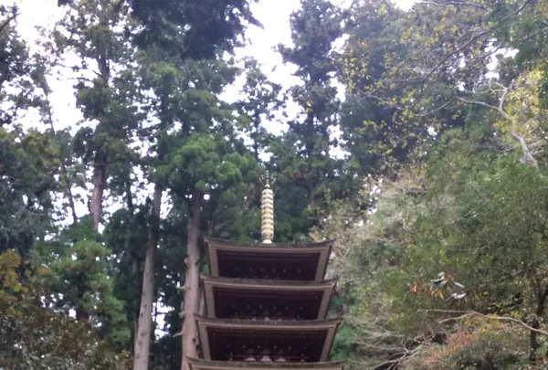 室生寺の写真・動画_image_170232