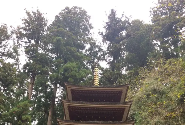 室生寺の写真・動画_image_170233