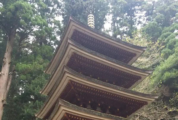 室生寺の写真・動画_image_170234