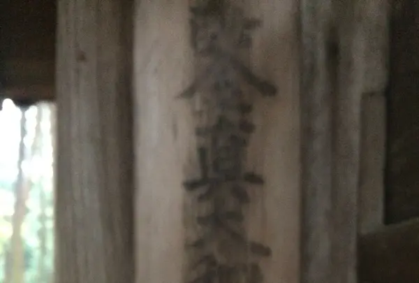 唐招提寺の写真・動画_image_170258