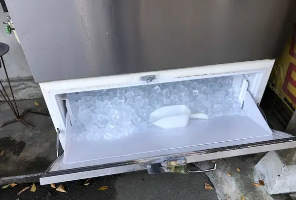 二の岡フーヅの写真・動画_image_170339