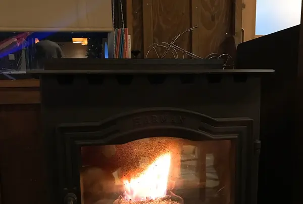 フィンランドの森 ハンモックカフェの写真・動画_image_170343