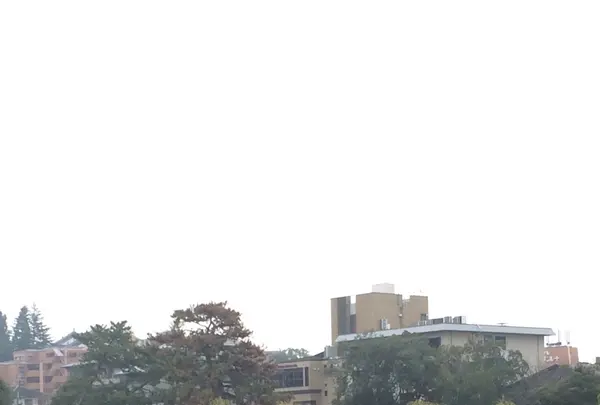中谷堂 三条もちいどの店の写真・動画_image_170351
