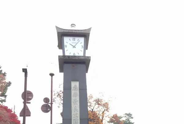 中谷堂 三条もちいどの店の写真・動画_image_170352