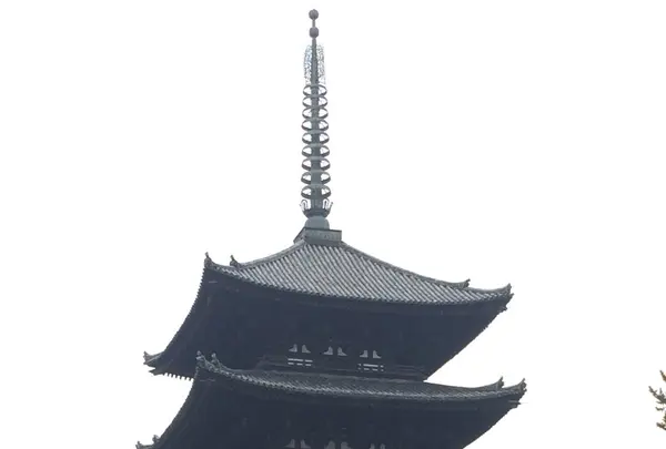 興福寺 南円堂（西国９番）の写真・動画_image_170364