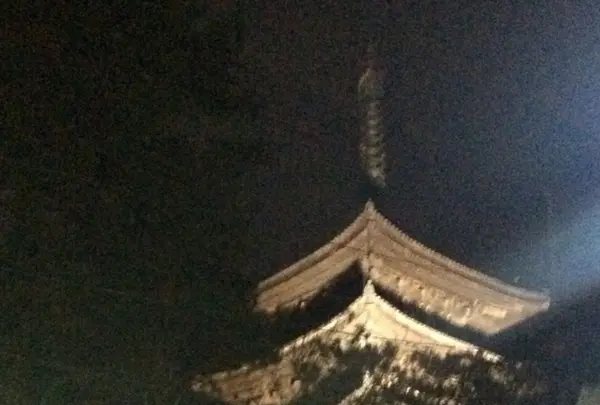 興福寺 南円堂（西国９番）の写真・動画_image_170440