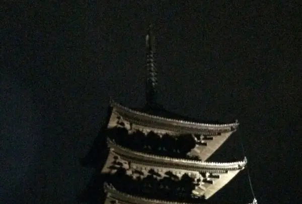 興福寺 南円堂（西国９番）の写真・動画_image_170441