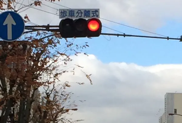 奈良ワシントンホテルプラザの写真・動画_image_170508