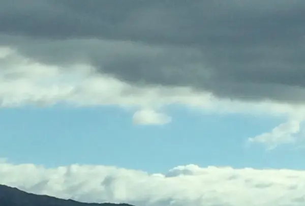 奈良ワシントンホテルプラザの写真・動画_image_170526
