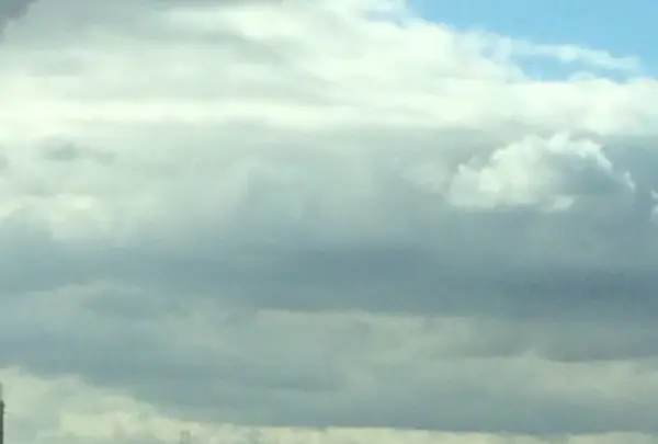 奈良ワシントンホテルプラザの写真・動画_image_170536