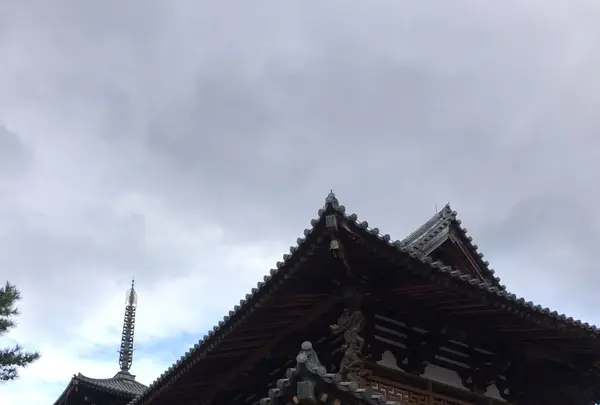 法隆寺五重塔の写真・動画_image_170576