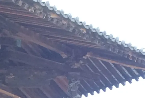 法隆寺五重塔の写真・動画_image_170577