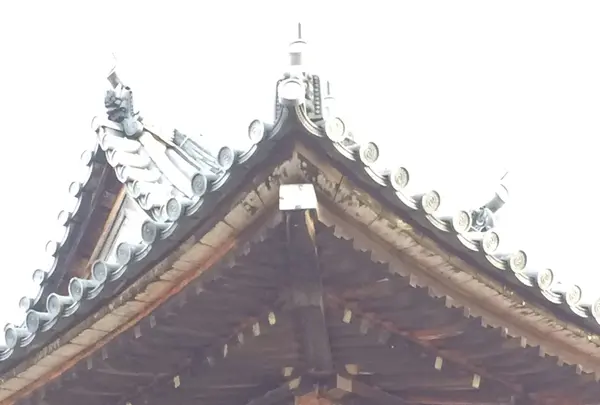 南大門の写真・動画_image_170585
