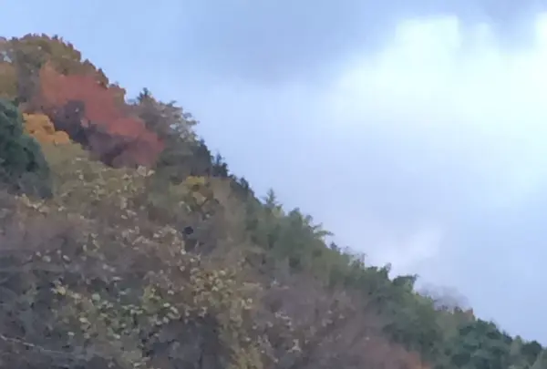 西名阪自動車道の写真・動画_image_170594