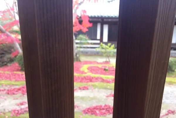 法隆寺の写真・動画_image_170600