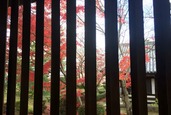 法隆寺の写真・動画_image_170601