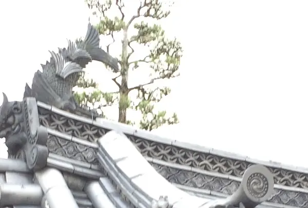 法隆寺の写真・動画_image_170619