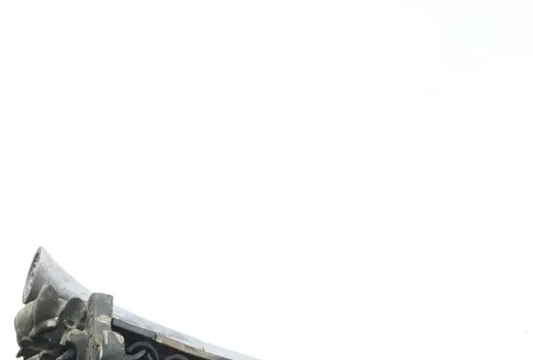 法隆寺の写真・動画_image_170621