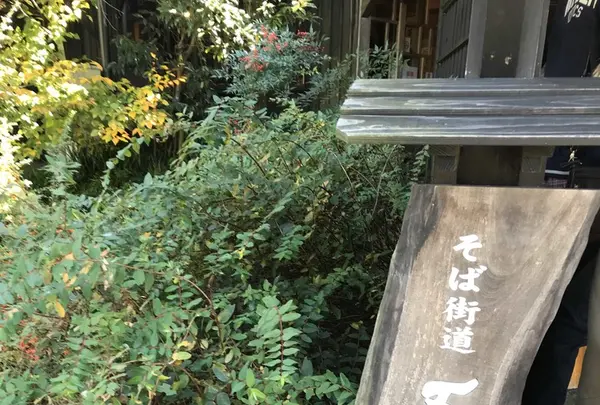 吾亦紅 (われもこう)の写真・動画_image_170631