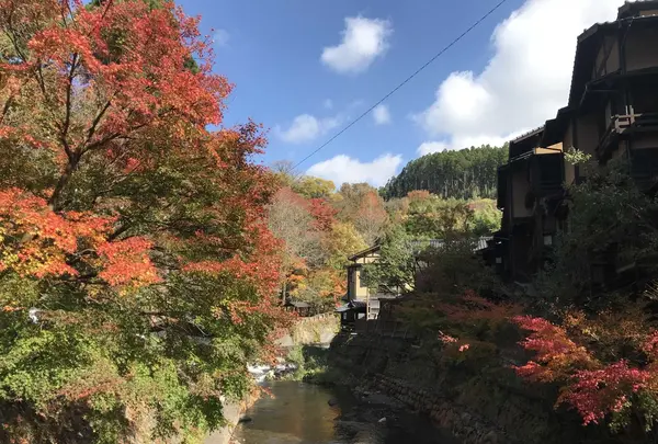 わろく屋の写真・動画_image_170633