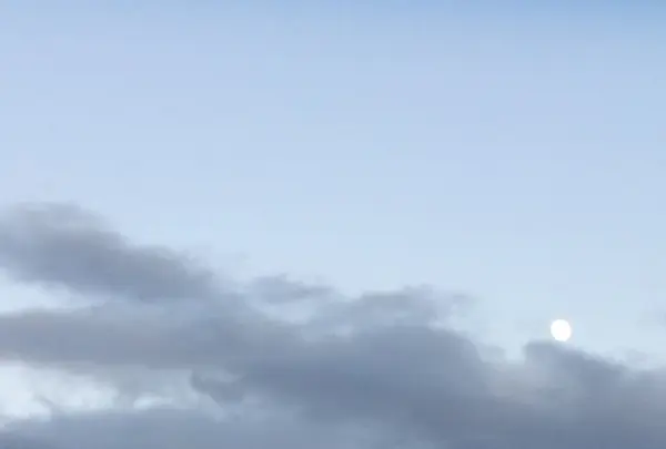 伊勢湾岸自動車道の写真・動画_image_170676