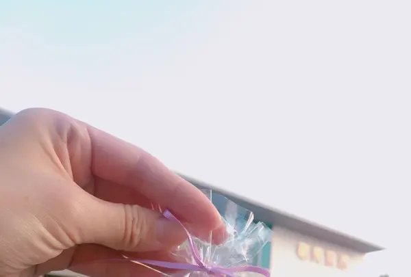 HOLLY CAMPの写真・動画_image_170688