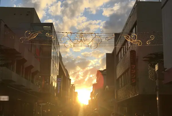 元町商店街の写真・動画_image_170837