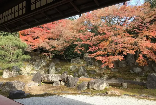 三面大黒天の写真・動画_image_170839