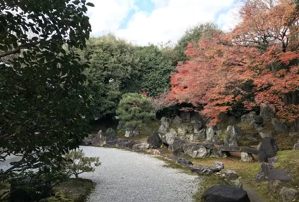 三面大黒天の写真・動画_image_170840