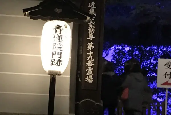 青蓮院門跡の写真・動画_image_171006