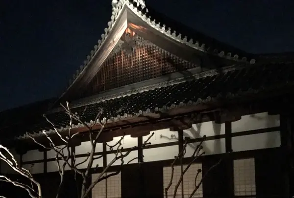 青蓮院門跡の写真・動画_image_171023