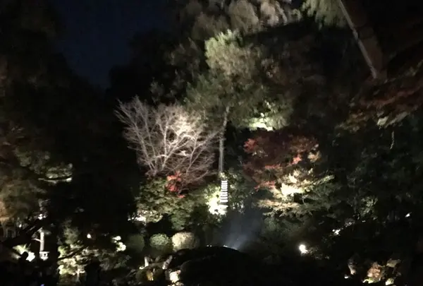 青蓮院門跡の写真・動画_image_171024